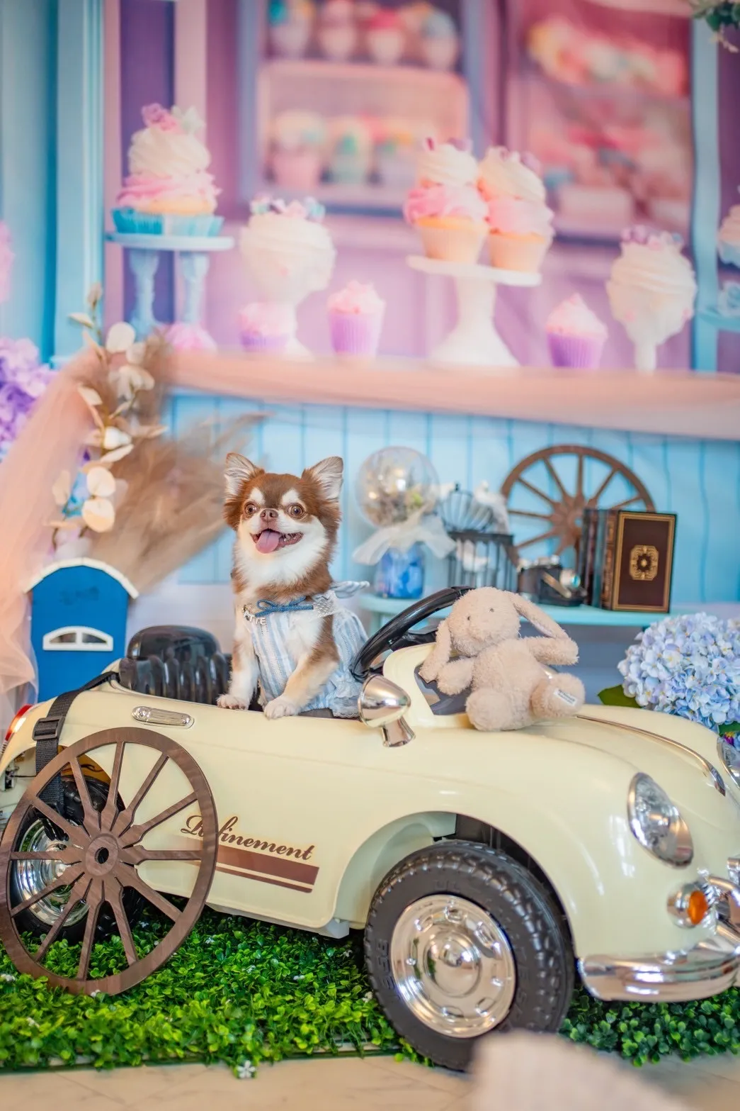 わん友と南知多ツアー