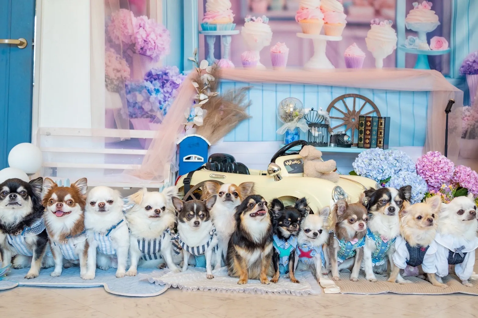 南知多よもぎ蒸しツアー